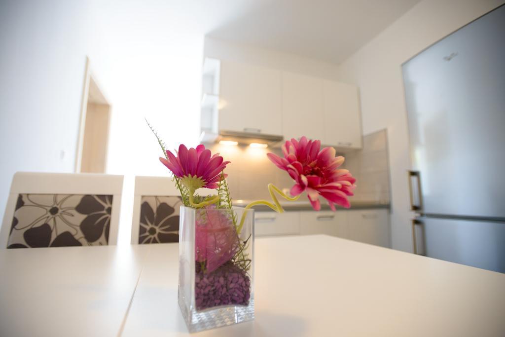 Rujno Apartments Starigrad Paklenica Eksteriør billede